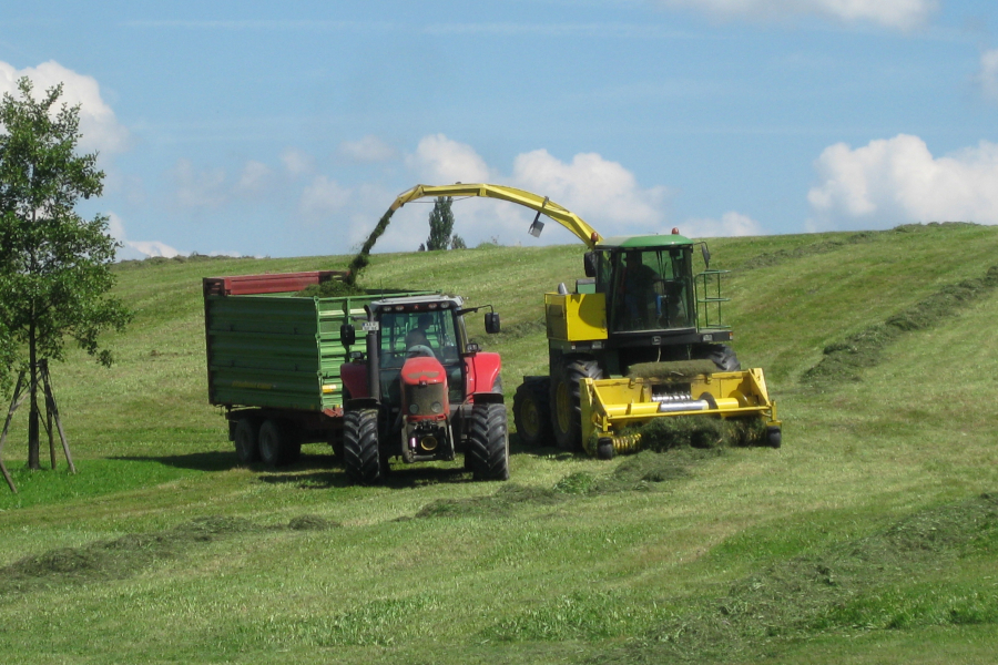 Silagebereitung