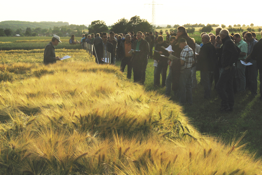 Landwirte besichtigen Gerstenfeld 