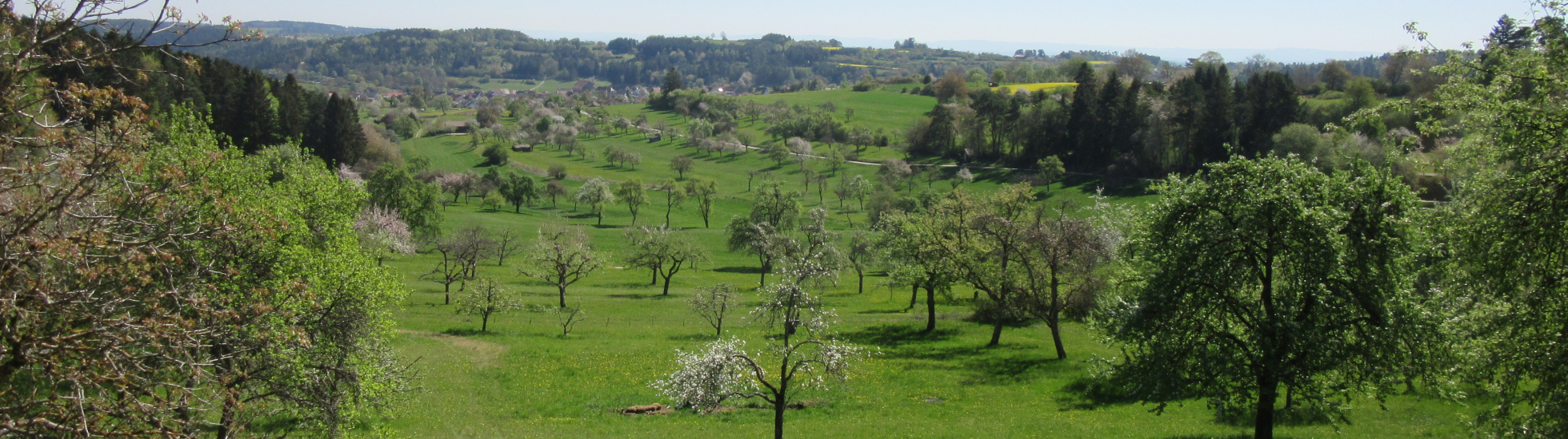Landschaft bei Grünmettstetten